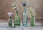 Glass Bud Vase Trio